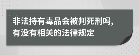 非法持有毒品会被判死刑吗,有没有相关的法律规定