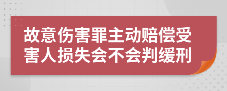 故意伤害罪主动赔偿受害人损失会不会判缓刑