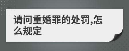 请问重婚罪的处罚,怎么规定