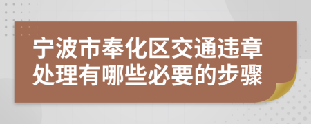 宁波市奉化区交通违章处理有哪些必要的步骤
