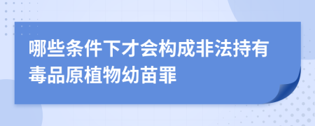 哪些条件下才会构成非法持有毒品原植物幼苗罪