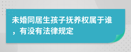 未婚同居生孩子抚养权属于谁，有没有法律规定