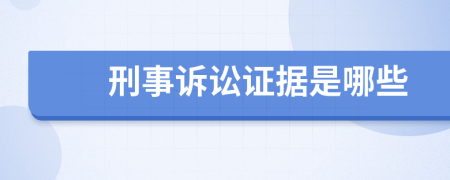 刑事诉讼证据是哪些