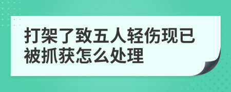 打架了致五人轻伤现已被抓获怎么处理