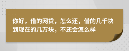 你好，借的网贷，怎么还，借的几千块到现在的几万块，不还会怎么样