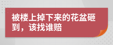 被楼上掉下来的花盆砸到，该找谁赔