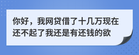 你好，我网贷借了十几万现在还不起了我还是有还钱的欲