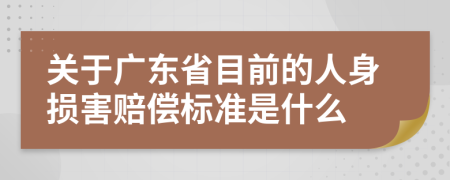 关于广东省目前的人身损害赔偿标准是什么