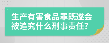 生产有害食品罪既遂会被追究什么刑事责任?