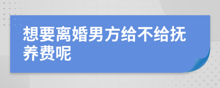 想要离婚男方给不给抚养费呢