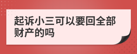 起诉小三可以要回全部财产的吗