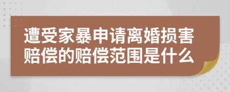 遭受家暴申请离婚损害赔偿的赔偿范围是什么