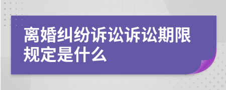 离婚纠纷诉讼诉讼期限规定是什么