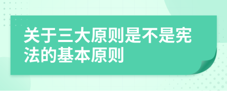 关于三大原则是不是宪法的基本原则