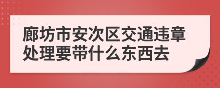 廊坊市安次区交通违章处理要带什么东西去