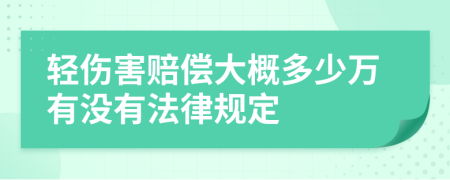 轻伤害赔偿大概多少万有没有法律规定