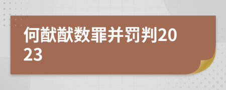 何猷猷数罪并罚判2023