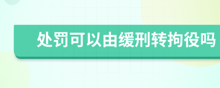 处罚可以由缓刑转拘役吗