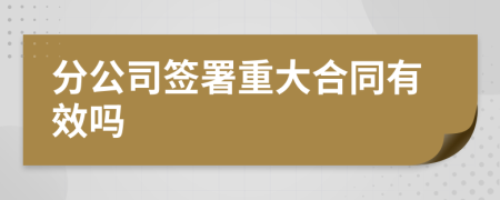 分公司签署重大合同有效吗