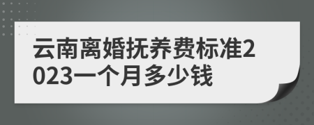 云南离婚抚养费标准2023一个月多少钱