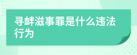 寻衅滋事罪是什么违法行为