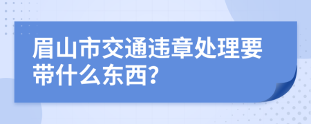 眉山市交通违章处理要带什么东西？