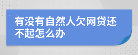 有没有自然人欠网贷还不起怎么办