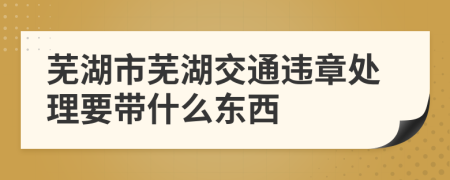 芜湖市芜湖交通违章处理要带什么东西