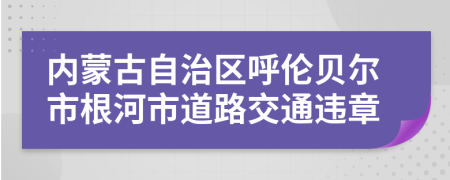 内蒙古自治区呼伦贝尔市根河市道路交通违章