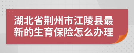 湖北省荆州市江陵县最新的生育保险怎么办理