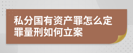 私分国有资产罪怎么定罪量刑如何立案