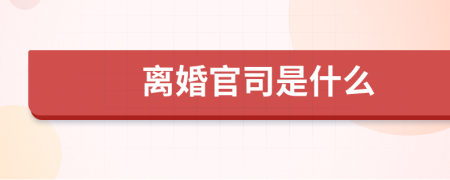离婚官司是什么