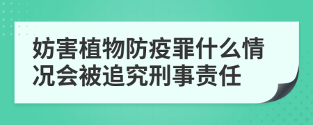 妨害植物防疫罪什么情况会被追究刑事责任