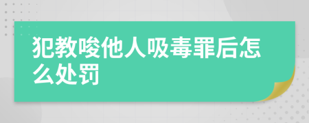 犯教唆他人吸毒罪后怎么处罚