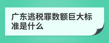 广东逃税罪数额巨大标准是什么