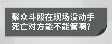 聚众斗殴在现场没动手死亡对方能不能管啊？