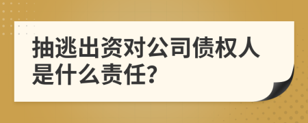 抽逃出资对公司债权人是什么责任？