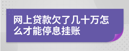 网上贷款欠了几十万怎么才能停息挂账