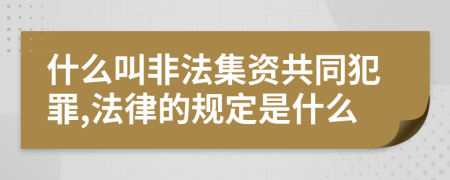 什么叫非法集资共同犯罪,法律的规定是什么