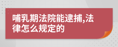 哺乳期法院能逮捕,法律怎么规定的