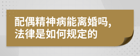 配偶精神病能离婚吗,法律是如何规定的