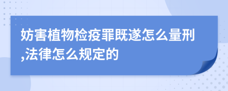 妨害植物检疫罪既遂怎么量刑,法律怎么规定的