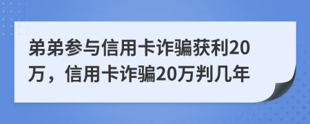 弟弟参与信用卡诈骗获利20万，信用卡诈骗20万判几年