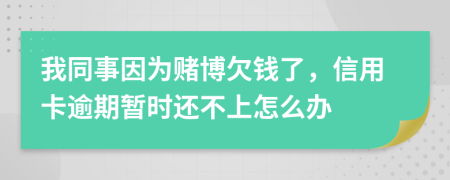 我同事因为赌博欠钱了，信用卡逾期暂时还不上怎么办