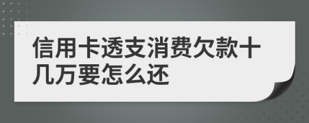 信用卡透支消费欠款十几万要怎么还