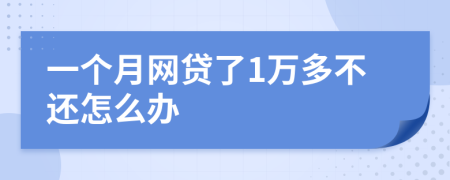 一个月网贷了1万多不还怎么办