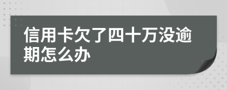 信用卡欠了四十万没逾期怎么办