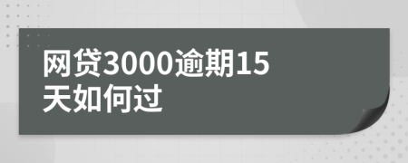 网贷3000逾期15天如何过