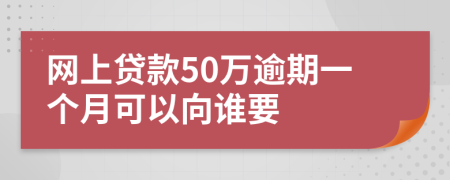 网上贷款50万逾期一个月可以向谁要