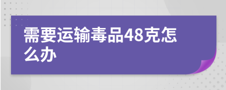 需要运输毒品48克怎么办